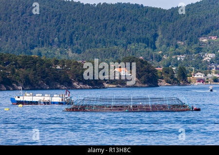 Près de l'élevage du saumon de Bergen, Norvège. Banque D'Images