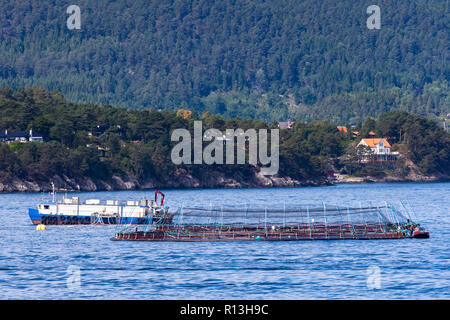 Près de l'élevage du saumon de Bergen, Norvège. Banque D'Images