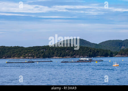 Près de l'élevage du saumon de Bergen, Norvège. Banque D'Images