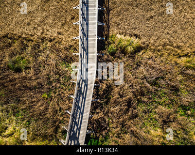 Pont de bois sur les prairies sèches,vue aérienne. Zelenci,Slovénie. Banque D'Images