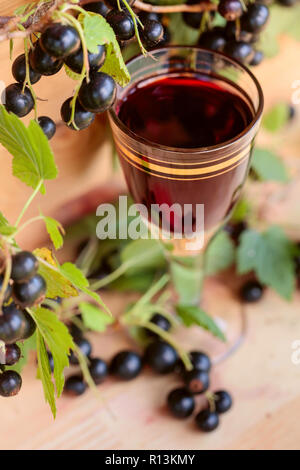 Homemade liqueur à base de cassis et de baies fraîches sur une branche , vintage fond de bois. Banque D'Images