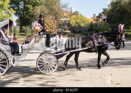 Horse And Carriage dans Central Park touring à Cherry Hill Fontaine, NYC Banque D'Images