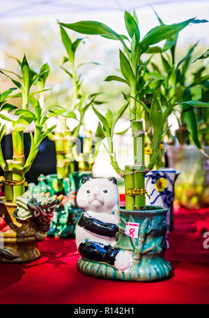 Les plantes de bambou pour la vente au marché dans le parc de la place de la cathédrale, le 3 novembre 2018, à Mobile, Alabama. L'événement, qui a eu lieu samedi matin 13 oct.-nov. 17, Banque D'Images