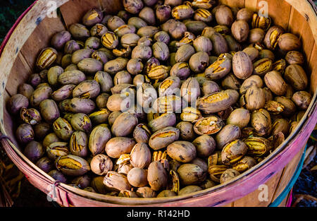 12.2005 les pacanes sont vendus au marché dans le parc de la place de la cathédrale, le 3 novembre 2018, à Mobile, Alabama. L'événement, qui a eu lieu samedi matin 13 oct.-nov. 17 Banque D'Images