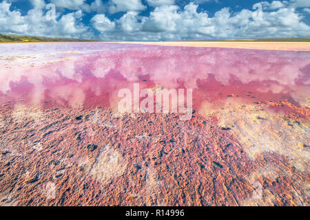 Sel rose de la rive pittoresque Lac, Gregory dans l'ouest de l'Australie. Ciel bleu avec des nuages reflètent dans Hutt Lagoon entre Geraldton Kalbarri et, avec une couleur rose vif pour la présence d'algues en été Banque D'Images