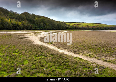 Sur le marais de l'estuaire Gannel à marée basse à Newquay en Cornouailles. Banque D'Images