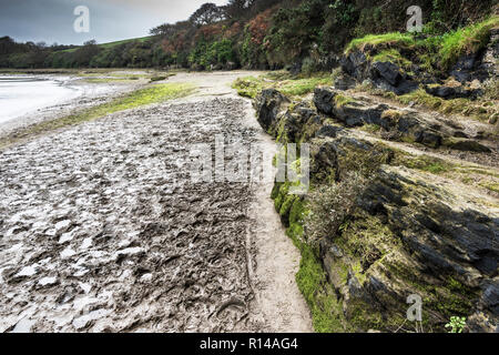 Le sentier boueux Penpol bridleway bridle path sur la rivière Gannel à Newquay en Cornouailles. Banque D'Images