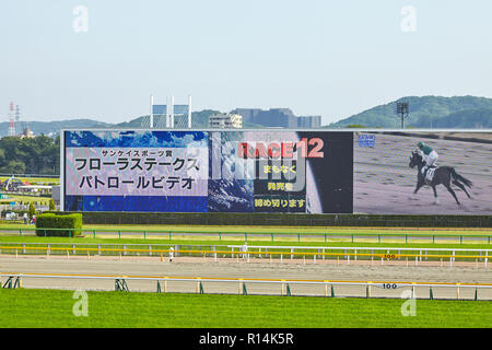 Vue sur Tokyo racecources avec l'un des plus grands du monde dans racecources video écran montrant des détails infimes. Le Japon, Tokyo 22 Avril Banque D'Images