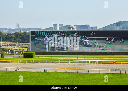 Vue sur Tokyo racecources avec l'un des plus grands du monde dans racecources video écran montrant des détails infimes. Le Japon, Tokyo 22 Avril Banque D'Images