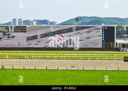 Vue sur Tokyo racecources avec l'un des plus grands du monde dans racecources video écran montrant des détails infimes. Le Japon, Tokyo 22 Avril Banque D'Images