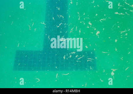 Lane marqueurs sont visibles en bas d'un trouble, piscine sale Banque D'Images