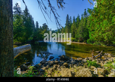 Vue de la rivière Sainte-Anne-du-Nord, dans le Parc National de la Gaspésie, Gaspésie, Québec, Canada Banque D'Images