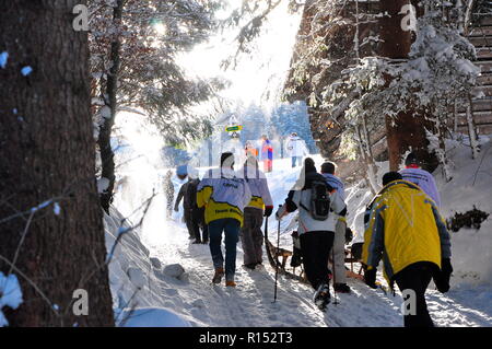 Course de luge de corne, de Werdenfels, Bavière, Allemagne Banque D'Images