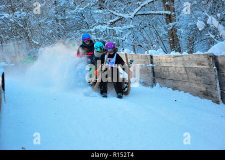 Course de luge de corne, de Werdenfels, Bavière, Allemagne Banque D'Images