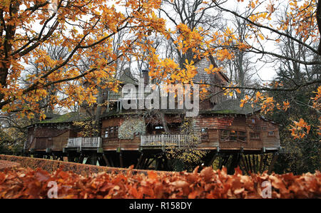 Couleurs d'automne entourent le jardin d'Alnwick Tree House dans Alnwick, Northumberland, qui administré par le duc et la duchesse de Northumberland. Banque D'Images