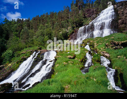 La Norvège, Rogaland, Svandalsfossen, Cascade cascade plus rock face à plusieurs niveaux, entouré d'arbres et de végétation luxuriante près de ville de Sauda. Banque D'Images