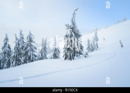 Temps de neige. Contexte Avec l'hiver la nature. Les épinettes et sentier dans la neige. Paysage avec une brume dans la forêt de la montagne Banque D'Images