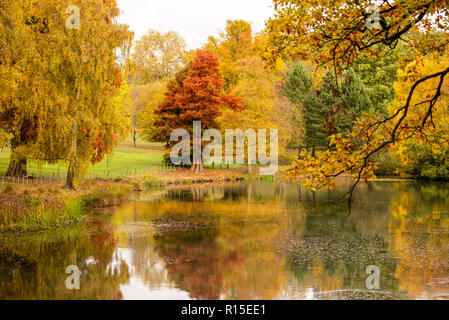 Couleurs d'automne dans la région de Hampstead Heath Banque D'Images