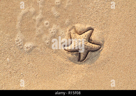 Étoile de dessiné sur la plage sable être emportée par une vague. Le moussage mer vague venant de laver une photo sur du sable de plage jaune humide. Maison de vacances et vocation Banque D'Images