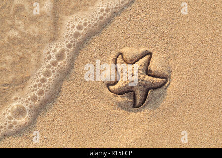 Étoile de dessiné sur la plage sable être emportée par une vague. Le moussage mer vague venant de laver une photo sur du sable de plage jaune humide. Maison de vacances et vocation Banque D'Images