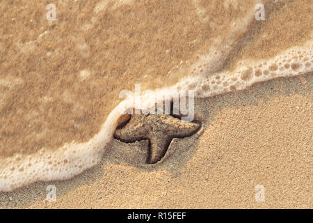 Étoile de dessiné sur la plage sable être emportée par une vague. Le moussage mer vague venant de laver une photo sur du sable de plage jaune humide. Maison de vacances et vocation Banque D'Images