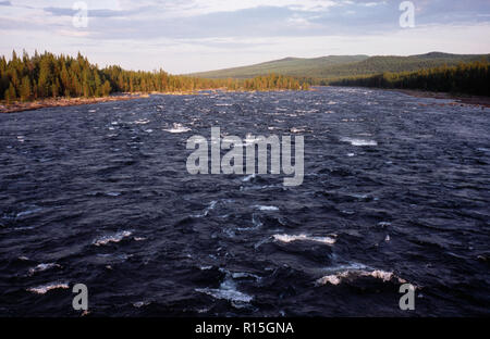 La Suède, Norrbotten, River, Pitealven vue le long tronçon de rivière au sud-est de la Route 45 cinquante-deux kilomètres au nord est de la ville de Arvidsjaur vers paysage couvert d'arbres. Banque D'Images