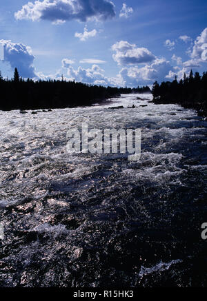 La Suède, Norrbotten, Pitealven River, vue jusqu'Storforsen Rapids vingt-cinq milles au nord ouest de Alusbyn ville. Étendue de l'eau pétillante au débit rapide, et que la silhouette des arbres. Une chute de 80 mètres à un rythme de 800 000 litres par seconde sur 4 kilomètres. Banque D'Images