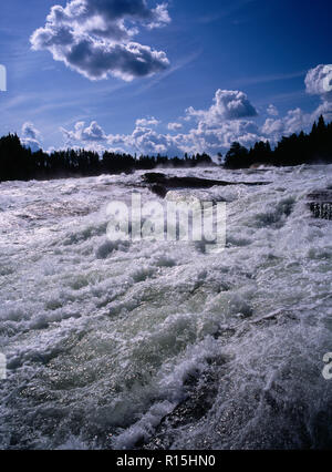 La Suède, Norrbotten, Pitealven River, vue jusqu'Storforsen Rapids 25 miles au nord ouest d'Alusbyn ville. Étendue d'eau au débit rapide, avec la silhouette du barattage ligne de conifères au-delà. Une chute de 80 mètres à un rythme de 800 000 litres par seconde sur 4 kilomètres. Banque D'Images