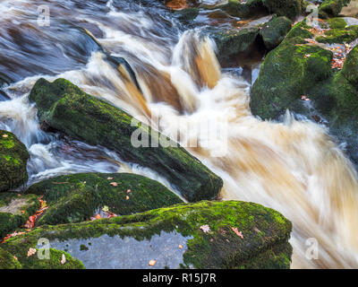 L'eau qui coule dans l'étroite constriction de la SRCFA sur la rivière Wharfe à Bolton Abbey Yorkshire Dales England Banque D'Images