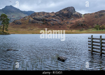 À la recherche de Blea Tarn vers Stickle Pike Lake district angleterre Cumbria Banque D'Images