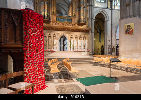 Tricotés à la main coquelicots pour commémorer 100 ans de l'Armistice à la Cathédrale de Rochester, Kent, UK. Banque D'Images