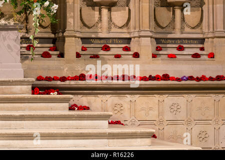 Tricotés à la main coquelicots pour commémorer 100 ans de l'Armistice à la Cathédrale de Rochester, Kent, UK. Banque D'Images