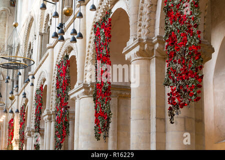 Tricotés à la main coquelicots pour commémorer 100 ans de l'Armistice à la Cathédrale de Rochester, Kent, UK. Banque D'Images