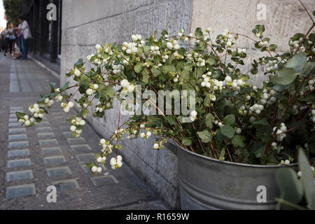 La variété colorée de fleurs vendues sur le marché de Londres. Banque D'Images