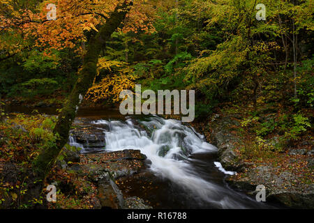 Cascades en peu de Pigeon River à Great Smoky Mountains Banque D'Images