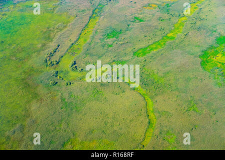 Ceinture de roseaux dans le lac de Skadar, le Parc National Skadarsko Jezero, près de Podgorica, Monténégro, vue aérienne Banque D'Images