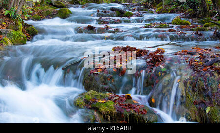 Cours d'eau, mousse impressionnant Parc National de Plivice Banque D'Images