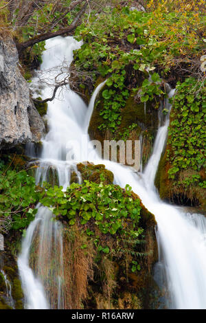 Cascade magnifique peu de capture dans les lacs de Plitvice, Croatie Banque D'Images