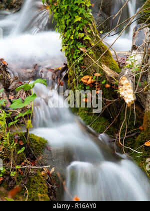 Cascade magnifique peu de capture dans les lacs de Plitvice, Croatie Banque D'Images