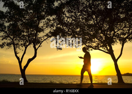 Silhouette d'arbres et un homme marchant tout en regardant son téléphone portable, contre un exercice de coucher de soleil de plage tout en étant au téléphone. Banque D'Images