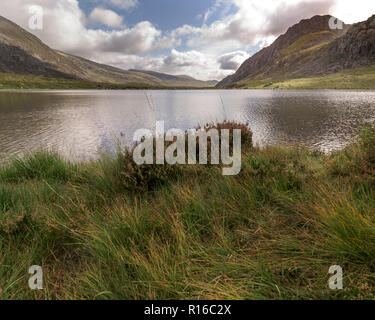 Tryfan est une montagne dans l'Ogwen Valley, Galles. Il fait partie de la groupe Glyderau. À 917,5 mètres (3 010 pieds) au-dessus du niveau de la mer c'est le th Banque D'Images