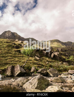 Afon Nant Peris, rivière qui traverse Llanberis Pass in Snowdonia, Gwynedd, au nord du Pays de Galles. Banque D'Images