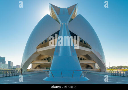 Valencia, Espagne - Octuber 15, 2016 : La Cité des Arts et des Sciences de l'architecte Calatrava. Le palais des arts et de l'Opéra Banque D'Images