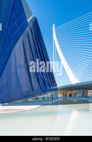 Valencia, Espagne - Octuber 15, 2016 : La Cité des Arts et des Sciences de l'architecte Calatrava : l'Agora palace et l'assud bridge Banque D'Images