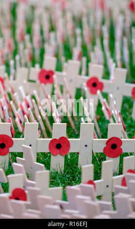 Swindon, Wiltshire, Royaume-Uni. 9 Nov 2018 croix sont placés pour se souvenir de ceux qui sont tombés dans la région de conflit. Il y a six domaines de souvenir dans le Royaume-Uni, Parc Lydiard de Swindon est lié à la population de Wootton Basset qui ont soutenu les familles de militaire qui sont morts et ont été rapatriés par le biais de leur petite ville du Wiltshire. Crédit : Mr Standfast/Alamy Live News Banque D'Images