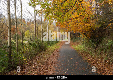 Belfast, N.Ireland, 9 novembre 2018. Météo France : un coup de vent apporte plus de feuilles d'arbres sur le chemin de halage près de Lagan Shaw's Bridge dans le sud de Belfast. Sec dans l'après-midi, mais de fortes pluies et vents violents sur le chemin. Crédit : Ian Proctor/Alamy Live News Banque D'Images