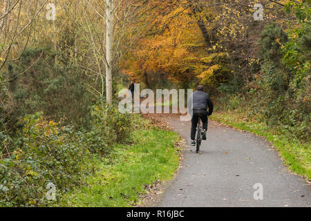 Belfast, N.Ireland, 9 novembre 2018. Météo France : Un cycliste et dog walker font leur chemin le long de la Lagan towpath près de Shaw's Bridge dans le sud de Belfast. Sec dans l'après-midi, mais de fortes pluies et vents violents sur le chemin. Crédit : Ian Proctor/Alamy Live News Banque D'Images