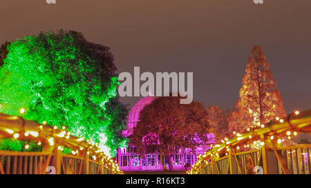 Syon Park, London, UK. Nov 9, 2018. La Forêt Enchantée retourne à Syon Park à Brentford, pour le plus grand plaisir des visiteurs qui peuvent se déplacer entre les scènes lumineuses. Un magnifiquement illuminés sentier serpente autour du lac ornemental à Syon Park, passé de Syon House et la grande véranda, qui aboutiront à un spectacle laser à l'intérieur de la véranda. Enchanted Woodland est ouvert Nov 9-25, 2018. Credit : Imageplotter News et Sports/Alamy Live News Banque D'Images