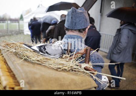 Compiègne, France. 10 novembre 2018, la France (France), Compiegne : Avec deux pigeons voyageurs, une interprète vêtu comme un soldat de la Seconde Guerre mondiale attend que le bus de transport le mémorial, situé à la limite nord de la ville de Compiègne, où la chancelière Merkel et le président français Macron commémorer la fin de la Première Guerre mondiale il y a 100 ans. L'armistice est signé le 11 novembre 1918 dans une ancienne voiture-restaurant dans la clairière. Photo : Kay Nietfeld/dpa dpa : Crédit photo alliance/Alamy Live News Banque D'Images