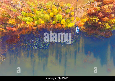 Nanjing, Nanjing, Chine. 10 Nov, 2018. Nanjing, Chine-décor de l'automne de Zhongshan Scenic Area, à Nanjing, à l'est ChinaÃ¢â€ Province de Jiangsu. Crédit : SIPA Asie/ZUMA/Alamy Fil Live News Banque D'Images